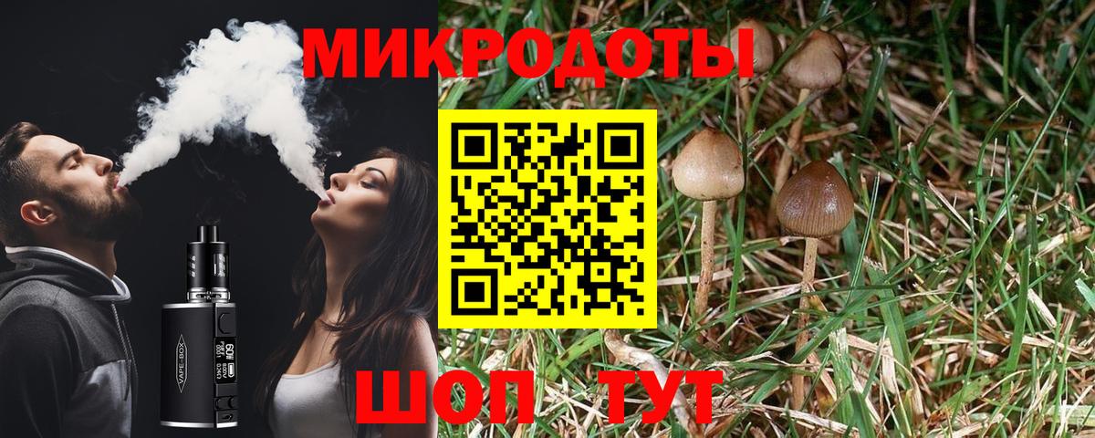 Галлюциногенные грибы мицелий Дзержинский
